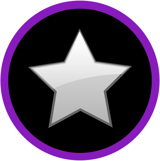 Silver Star Skate Center logo